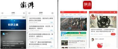 新闻爆料设计案例分析,揭秘事件真相与媒体责任